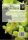 Photographic Field Guide to the plants of the Western Hajar Mountains, Sultanate of Oman