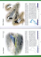 Common Birds in Oman - An identification guide