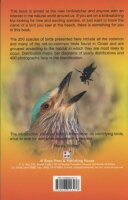 Common Birds in Oman - An identification guide