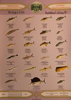 Übersichtskarte Fische in Bodennähe