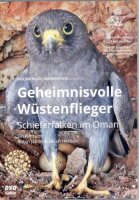 Geheimnisvolle Wüstenflieger - DVD
