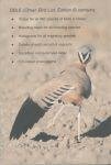 Oman Bird List