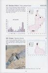 Oman Bird List